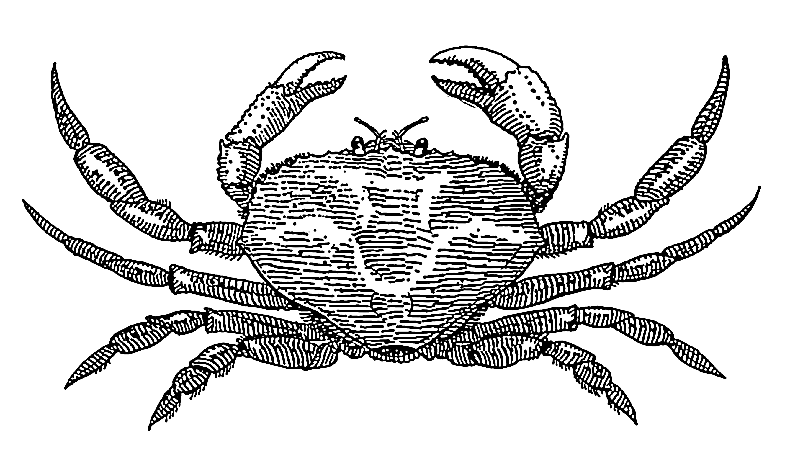 Png Crab Black And White - File:crab (Psf).png, Transparent background PNG HD thumbnail