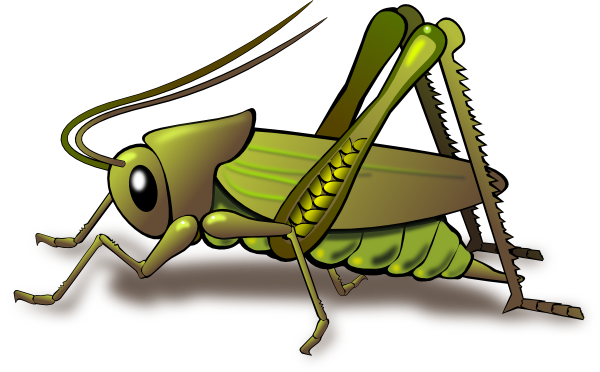 Png: Small · Medium · Large - Cricket Bug, Transparent background PNG HD thumbnail