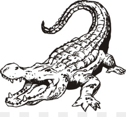 Png Crocodile Black And White - Alligator Crocodile Black And White Clip Art   Bear Mascot Clipart, Transparent background PNG HD thumbnail