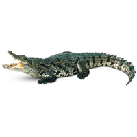 Crocodile Free Png Image Png Image - Crocodile, Transparent background PNG HD thumbnail