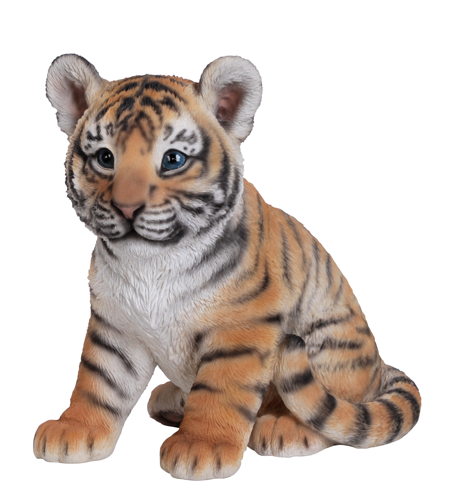 Tiger-Cub-baby-triger-photo, PNG Cub - Free PNG