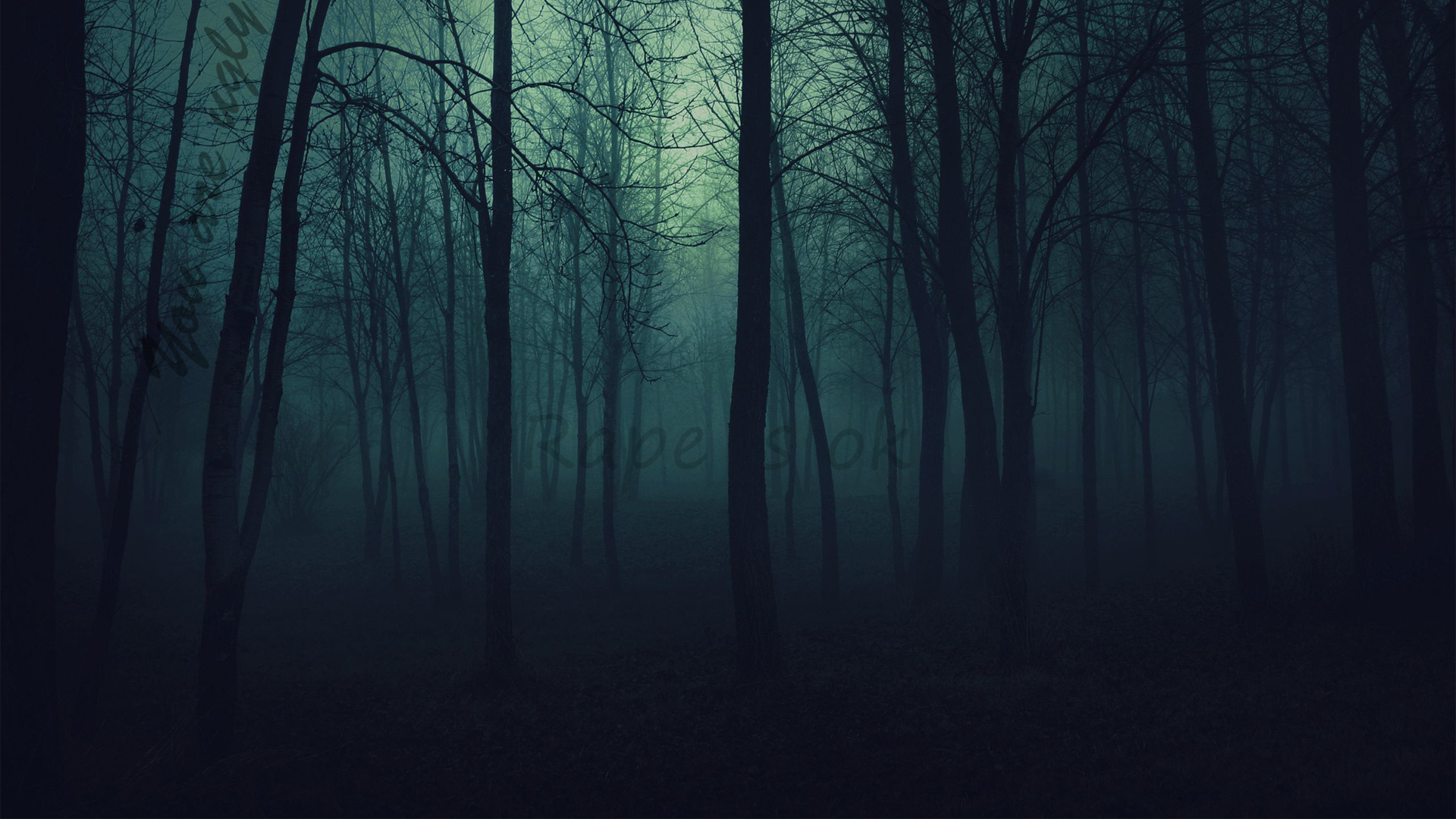 Png Dark Forest - Dark Forest., Transparent background PNG HD thumbnail