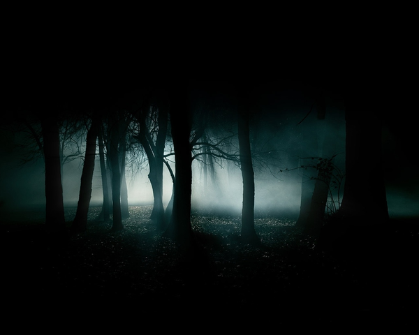 Png Dark Forest - Dark Forest | Free Images At Clker Pluspng.com   Vector Clip Art Online, Royalty Free U0026 Public Domain, Transparent background PNG HD thumbnail