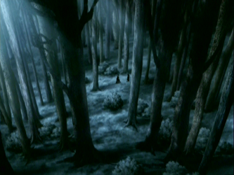 File:dark Forest.png - Dark Forest, Transparent background PNG HD thumbnail