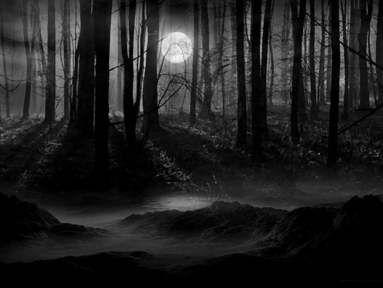 Png Dark Forest - File:dark Forest.png, Transparent background PNG HD thumbnail