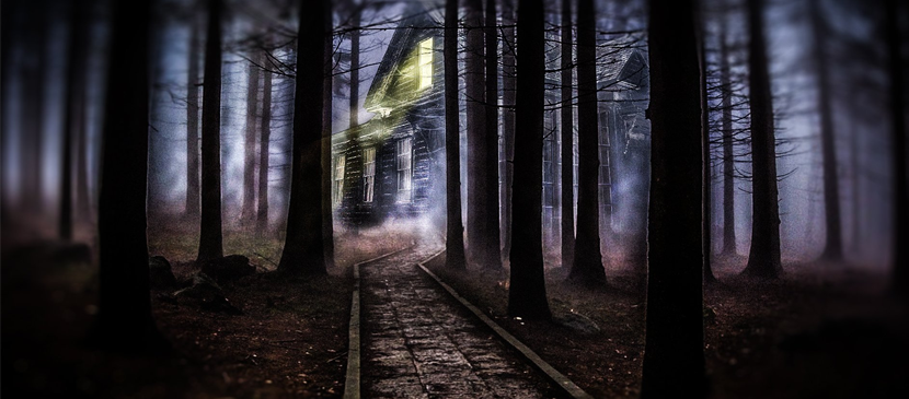 Manipulating A Dark Forest Scene - Dark Forest, Transparent background PNG HD thumbnail
