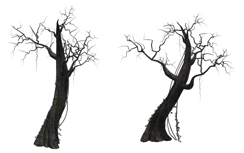 Dead Tree 01 By Free Stock By Wayne Hdpng.com  - Dead Tree, Transparent background PNG HD thumbnail