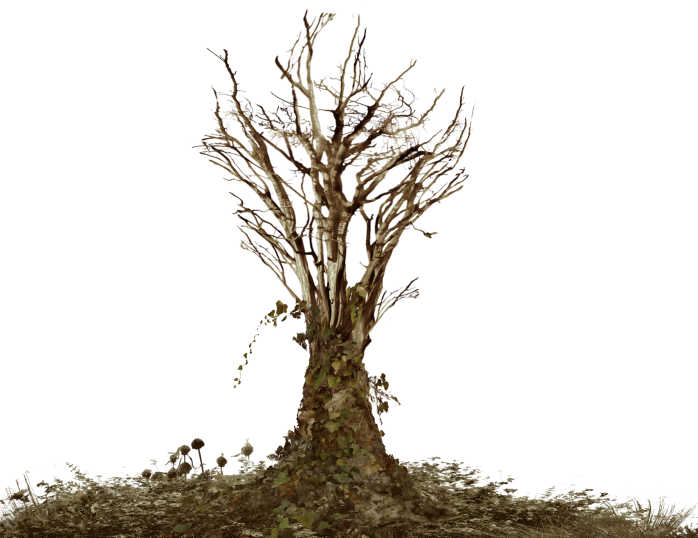 Png Dead Tree - Dead Tree With Ivy Png Landscape Stock Warm By Annamae22 Hdpng.com , Transparent background PNG HD thumbnail