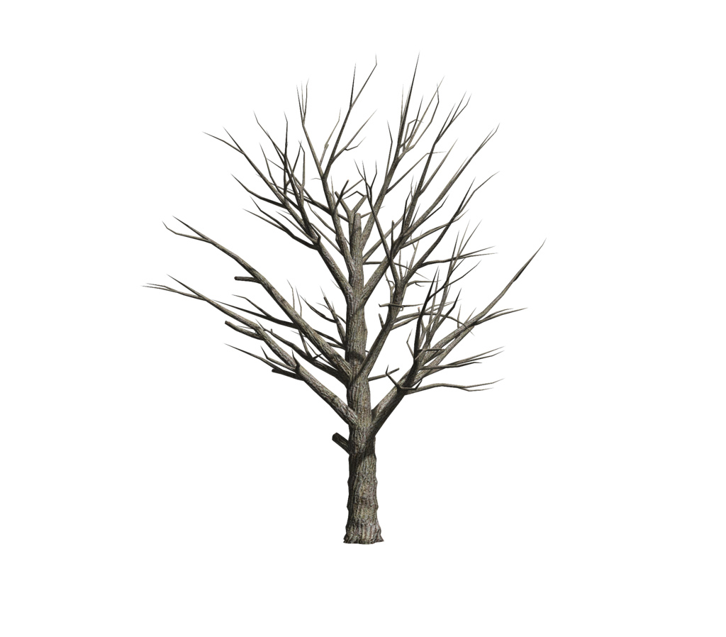 . Hdpng.com Poseidon Dead Tree..stock(Png Format) | By Takis Poseidon - Dead Tree, Transparent background PNG HD thumbnail