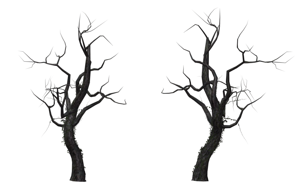 Tree 12 By Free Stock By Wayne Hdpng.com  - Dead Tree, Transparent background PNG HD thumbnail