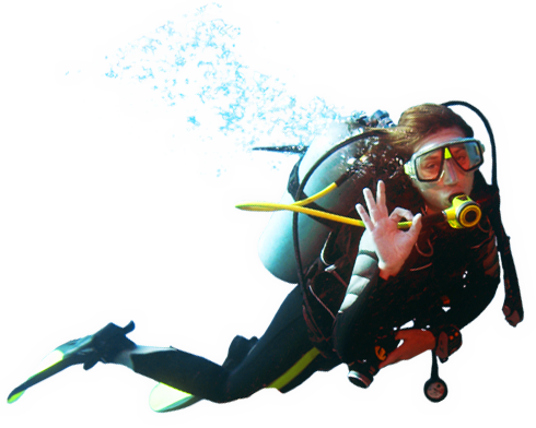Diving - Diving, Transparent background PNG HD thumbnail