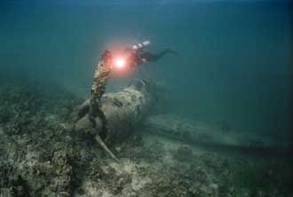 P-38 Lightning Wreck, Milne Bay, Papua New Guinea - Dive AdventuresAustralia, PNG Diving - Free PNG