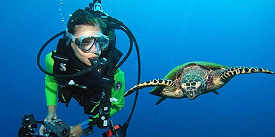 Scuba diving adventures Papua