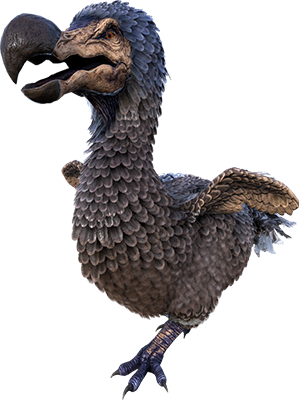 Dodo Kibble - Dodo, Transparent background PNG HD thumbnail