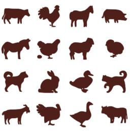 Domestic Animals Png Image - Domestic Animals, Transparent background PNG HD thumbnail