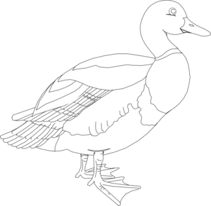 Black And White Duck Clip Art - Duck Black And White, Transparent background PNG HD thumbnail
