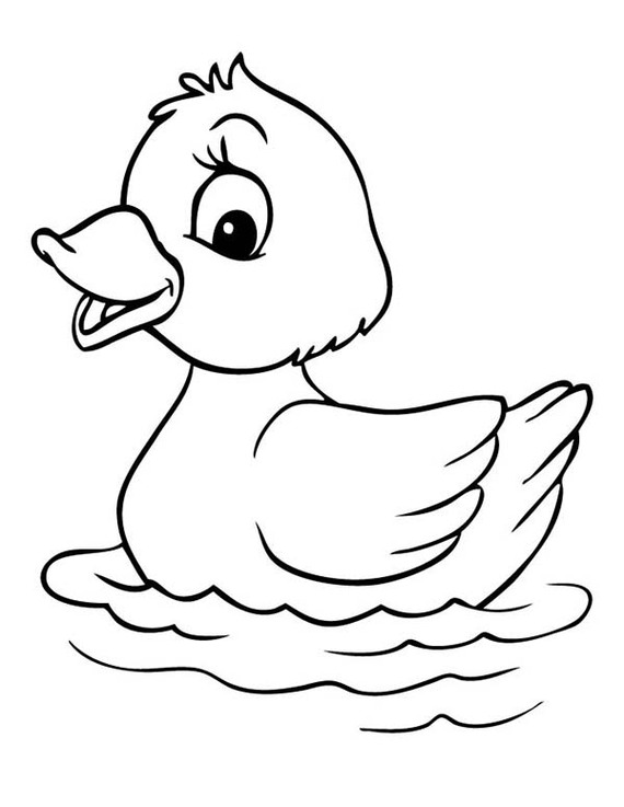 Clip Art Duck Black And White Clipart Collection - Duck Black And White, Transparent background PNG HD thumbnail