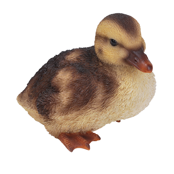 Png Duckling Hdpng.com 600 - Duckling, Transparent background PNG HD thumbnail