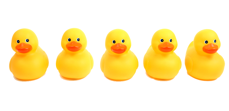 Png Ducks In A Row - Png Ducks In A Row Hdpng.com 900, Transparent background PNG HD thumbnail