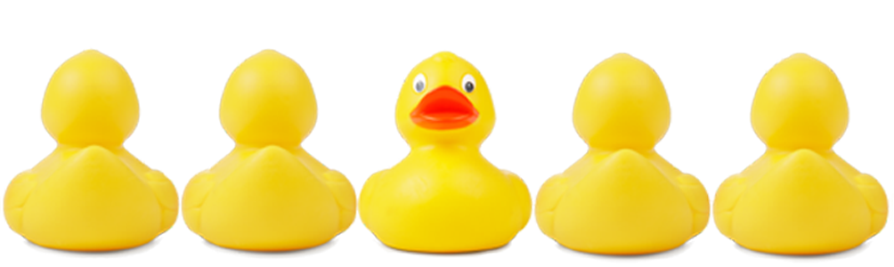 Png Ducks In A Row - Consider, Transparent background PNG HD thumbnail