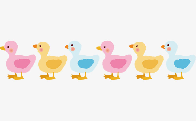 Ducks In A Row Vector, Vector, Cartoon, Animal Png And Vector - Ducks In A Row, Transparent background PNG HD thumbnail