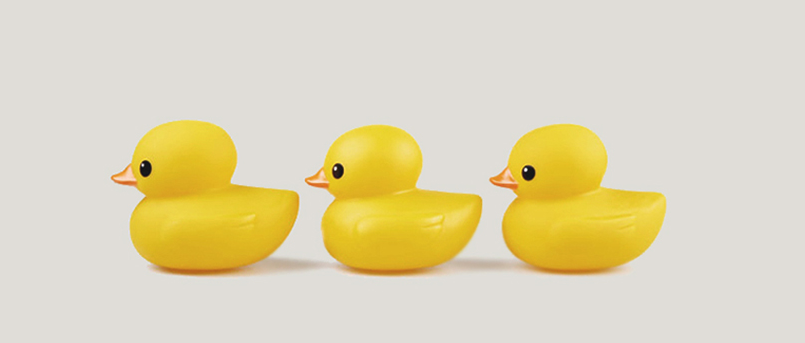 Png Ducks In A Row - Get Your Ducks In A Row | Publica, Transparent background PNG HD thumbnail