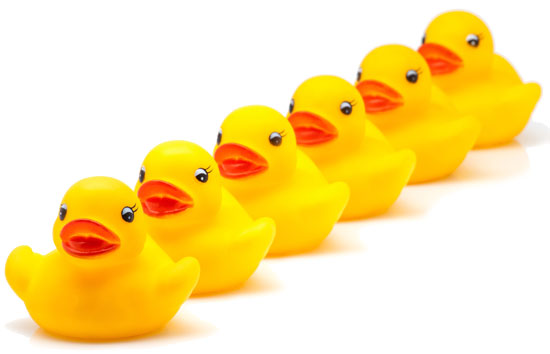 . Hdpng.com Http://www.isential.co.uk/wp Content/uploads/2012/07/change Management  Ducks In Row.jpg Hdpng.com  - Ducks In A Row, Transparent background PNG HD thumbnail