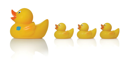 Png Ducks In A Row - Keys To A Successful Escrow Closing   Have Your Ducks In A Row, Transparent background PNG HD thumbnail