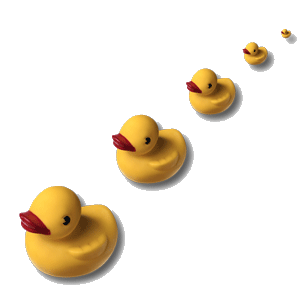 Show More Images - Ducks In A Row, Transparent background PNG HD thumbnail