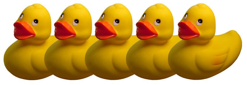 You Need All Your Ducks In A Row To Prove Default Under A Security Agreement - Ducks In A Row, Transparent background PNG HD thumbnail