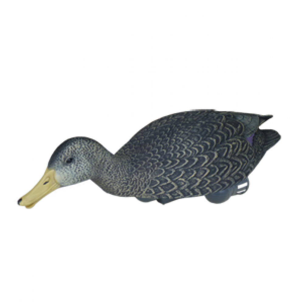 Zigzag Surface Feeder (Black Duck Drake) - Ducks Swimming, Transparent background PNG HD thumbnail