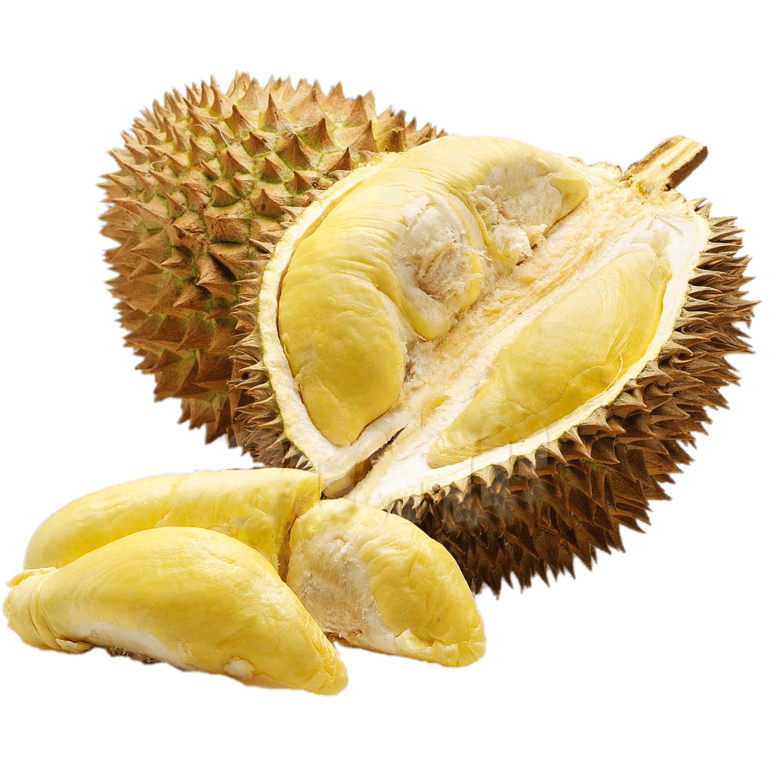Download - Durian, Transparent background PNG HD thumbnail