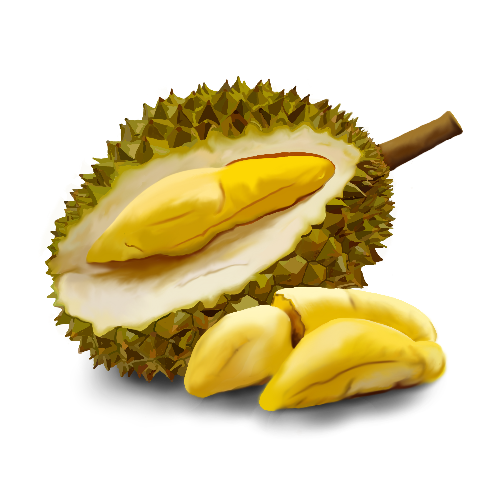 Durian - Durian, Transparent background PNG HD thumbnail