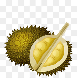 Durian, Fruit, Durian, Food Png And Vector - Durian, Transparent background PNG HD thumbnail