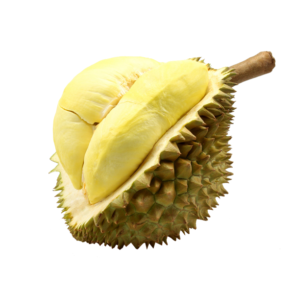 Durian Monthong Fruit Thailand - Durian, Transparent background PNG HD thumbnail