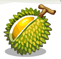 Durian.png - Durian, Transparent background PNG HD thumbnail