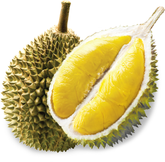 Durian Trip. U201C - Durian, Transparent background PNG HD thumbnail
