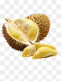 Durian, Yellow, Fruit, Durian Png Image And Clipart - Durian, Transparent background PNG HD thumbnail
