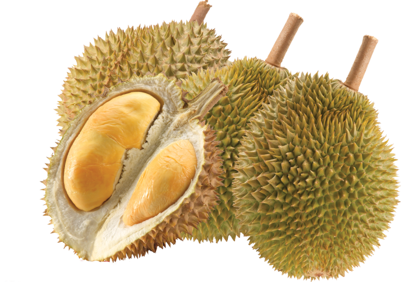 The Inner Beauty Of The Durian - Durian, Transparent background PNG HD thumbnail