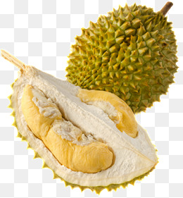 Tropical Fruit Durian, Durian, Cut Durian, Fruit King Png Image And Clipart - Durian, Transparent background PNG HD thumbnail