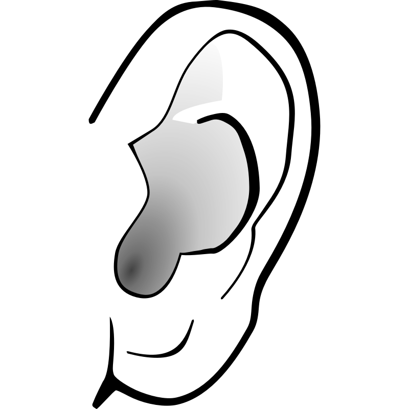 Listener Clipart Ear Clip Art Listening Ear Clipart - Ears Listening, Transparent background PNG HD thumbnail