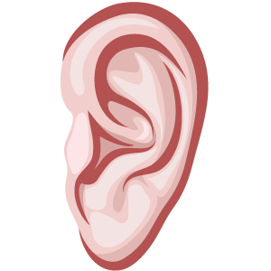 Listening Ear Clipart #20 - Ears Listening, Transparent background PNG HD thumbnail