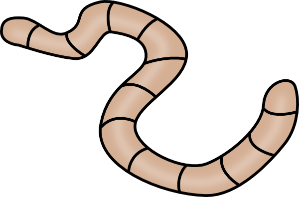 PNG Earthworm-PlusPNG.com-617