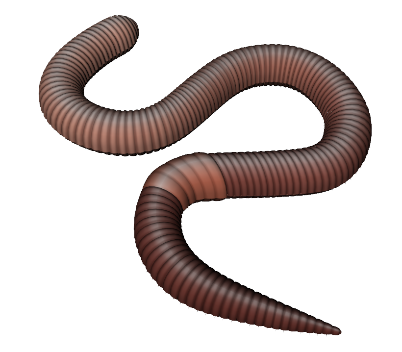 Build A Mini Worm Bin - Earthworm, Transparent background PNG HD thumbnail
