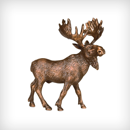 20589 Moose - Elch, Transparent background PNG HD thumbnail