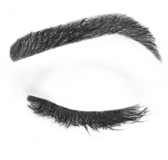 Png Eyebrows Hdpng.com 695 - Eyebrows, Transparent background PNG HD thumbnail