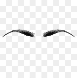 Symmetrical Female Eyebrows Material, Symmetry, Female, Eyebrow Png And Vector - Eyebrows, Transparent background PNG HD thumbnail