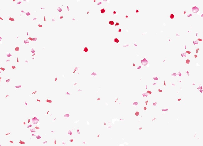Beautiful Flower Petals Falling, Attractive Rose, Falling Flowers, Falling Petals Png And Psd - Fall Flowers, Transparent background PNG HD thumbnail
