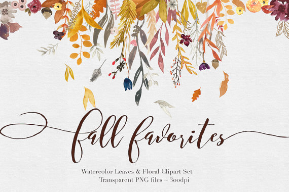 Png Fall Flowers - Fall Flowers Watercolor Clipart Files   High Res Transparent Png   Hand Painted Digital Scrapbook Elements   Instant Download, Transparent background PNG HD thumbnail