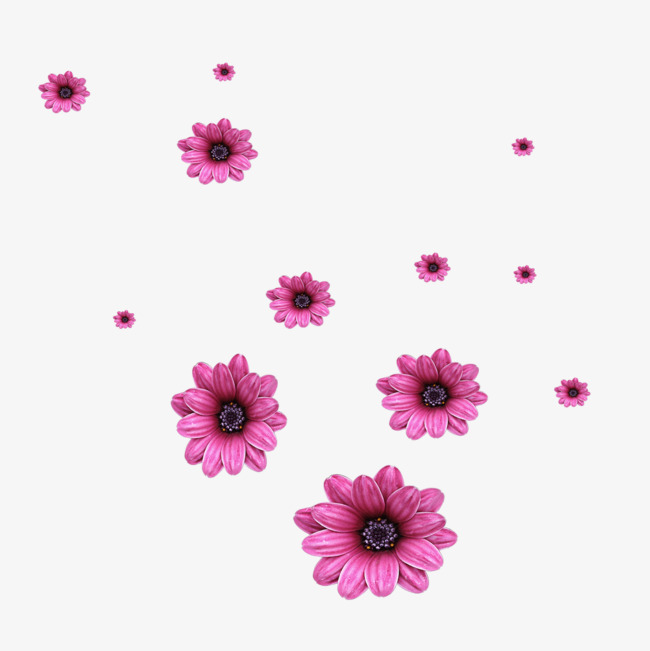 Scattered Flowers, Flowers, Falling Flowers, Purple Flowers Png And Psd - Fall Flowers, Transparent background PNG HD thumbnail